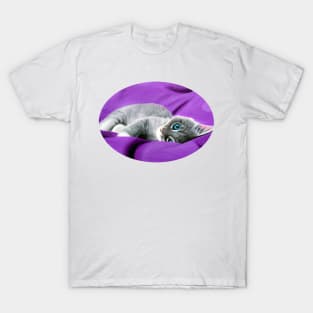 Grey Tabby Kitten T-Shirt